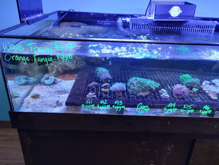 Reef Keepers Picture 6