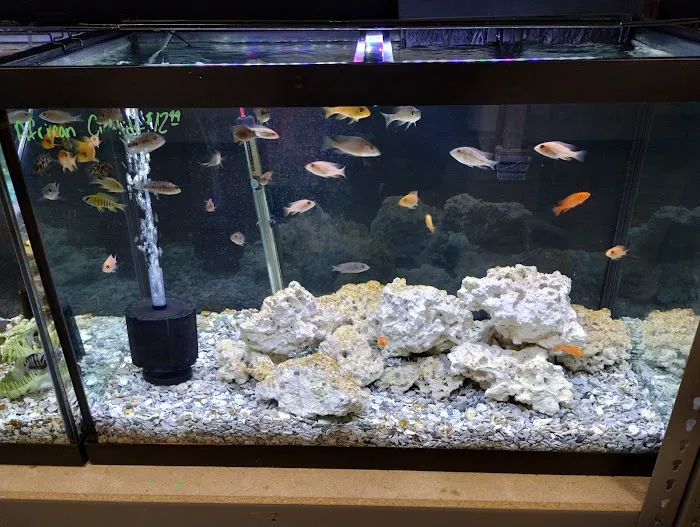 Reef Keepers Picture 3