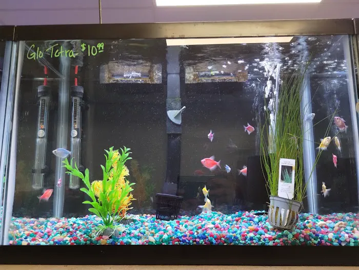 Reef Keepers Picture 1