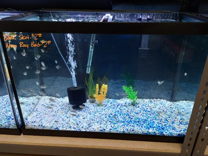 Reef Keepers Picture 2