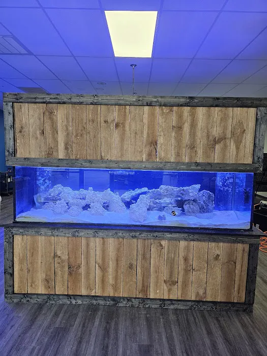 Reef Keepers Picture 5