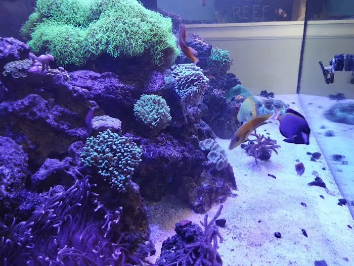 Reef Keepers Picture 7