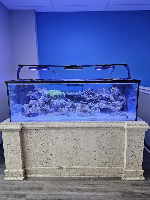 Reef Keepers Picture 8