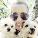 Rockaway Animal Hospital