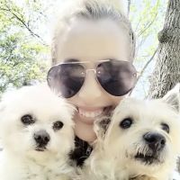 Rockaway Animal Hospital ico