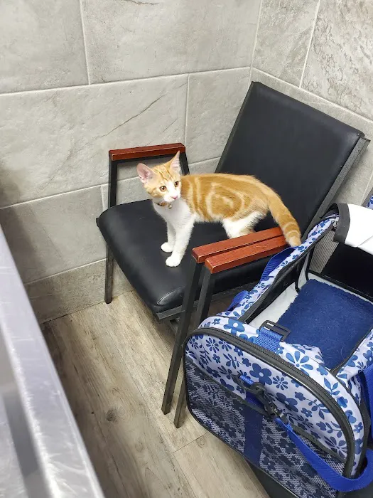 Rockaway Animal Hospital Picture 10