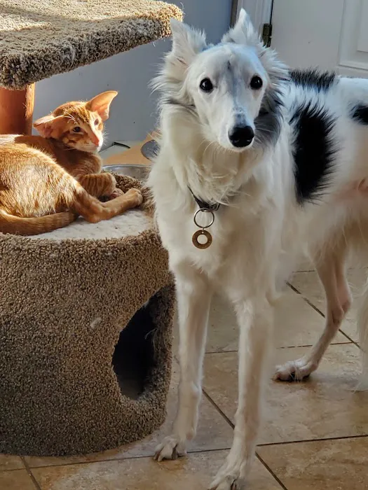 Rockaway Animal Hospital Picture 9