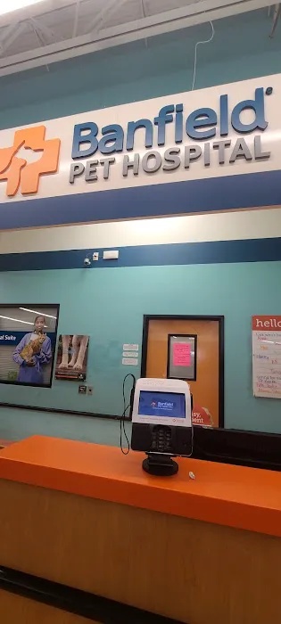 Banfield Pet Hospital Picture 3