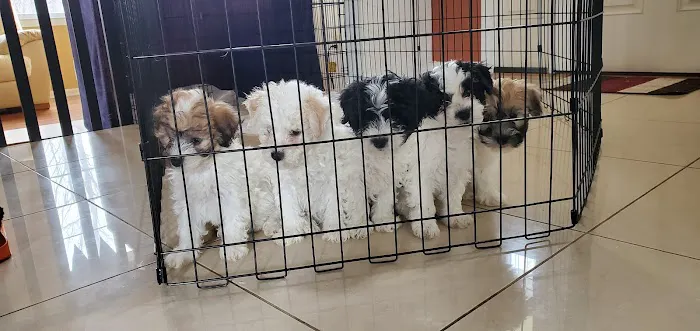 Banfield Pet Hospital Picture 4