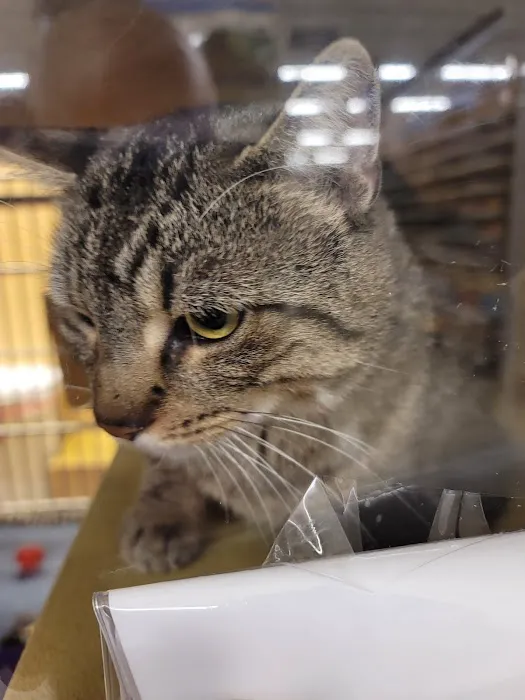 Banfield Pet Hospital Picture 2