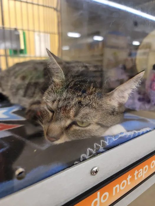 Banfield Pet Hospital Picture 8