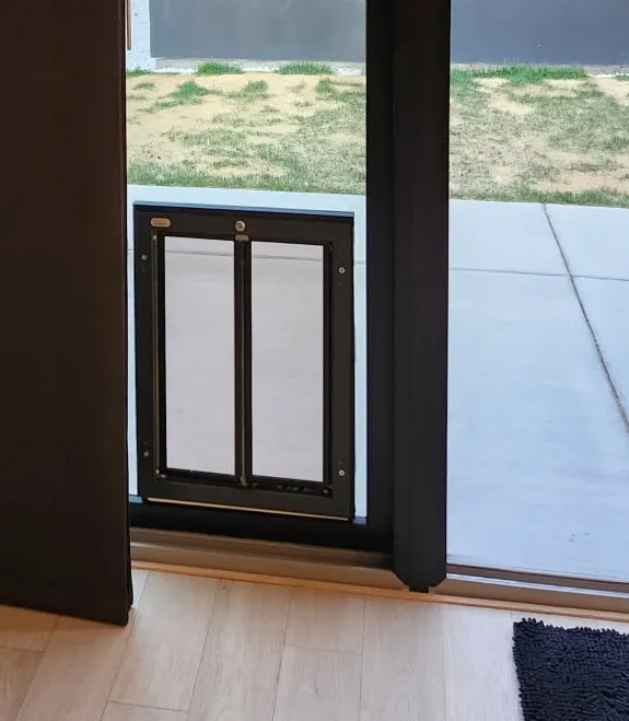 All Pro Dogs Picture 8