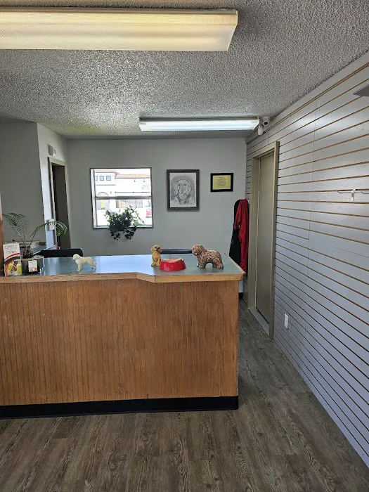 All Pro Dogs Picture 4