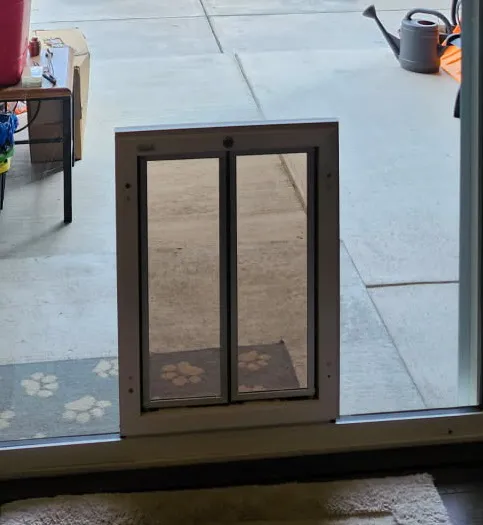 All Pro Dogs Picture 2