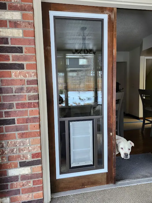 All Pro Dogs Picture 6