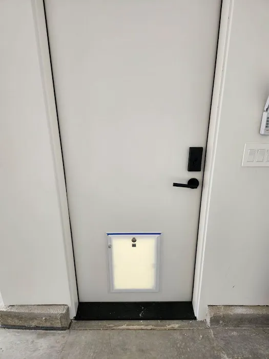 All Pro Dogs Picture 7