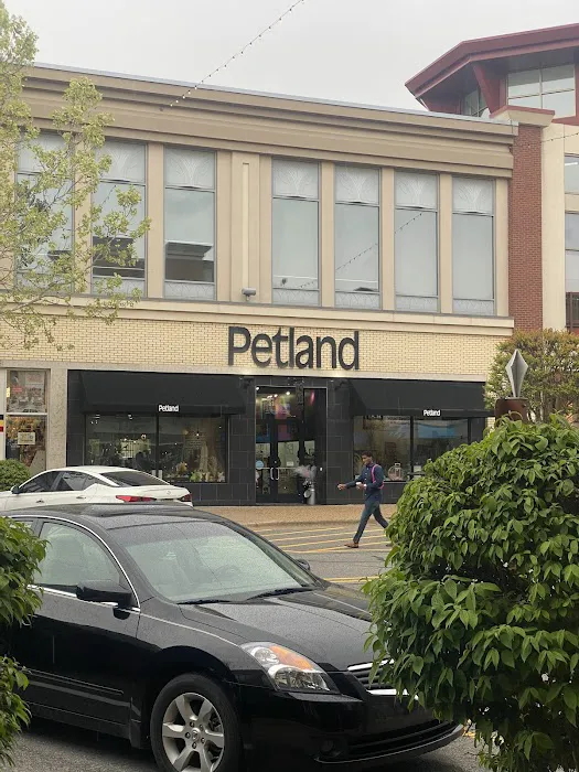 Petland Rogers 🐶 Picture 4