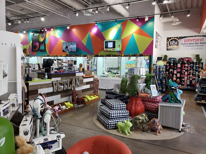 Petland Rogers 🐶 Picture 1