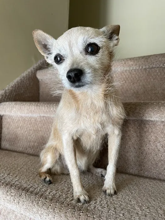 Heart + Paw Picture 1