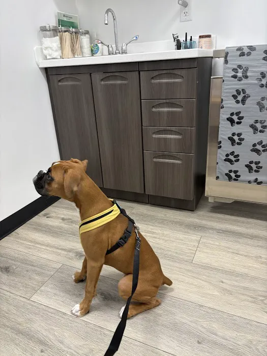 Heart + Paw Picture 5