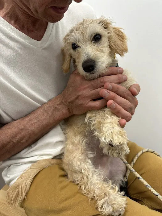 Heart + Paw Picture 4