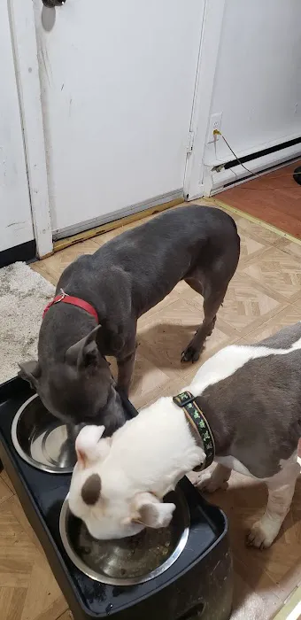 Heart + Paw Picture 3