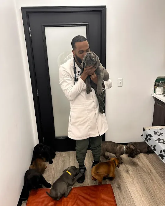 Heart + Paw Picture 10