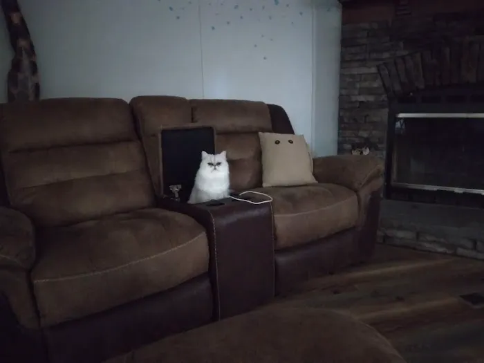 RB Cat House Picture 2