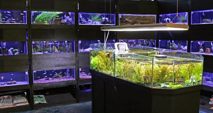 Worlds Under Water Picture 4