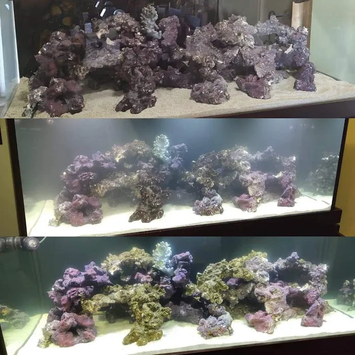 Worlds Under Water Picture 3