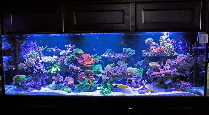 Worlds Under Water Picture 1