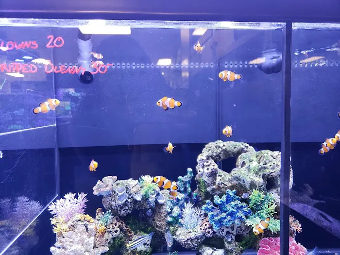 Worlds Under Water Picture 2