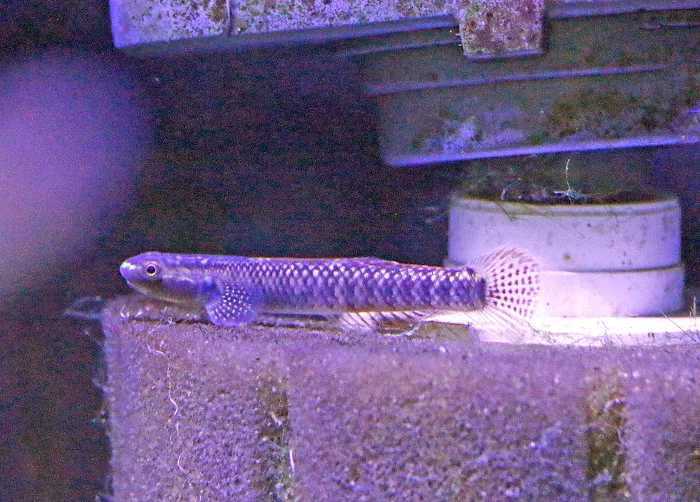 Worlds Under Water Picture 10