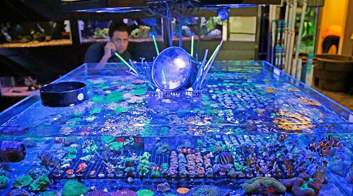 Worlds Under Water Picture 6