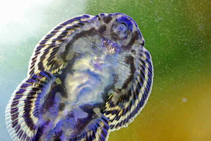 Worlds Under Water Picture 5