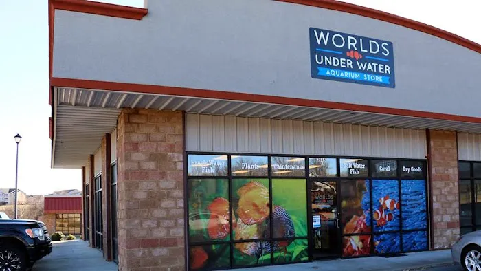 Worlds Under Water Picture 7