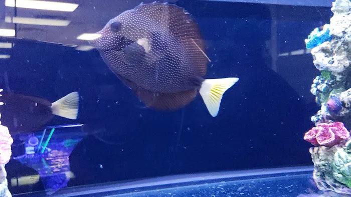 Worlds Under Water Picture 8