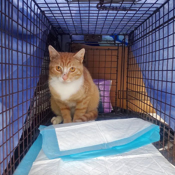 Preventive Paws Spay Center Picture 6