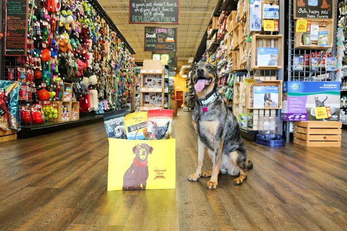 Hollywood Feed Picture 2