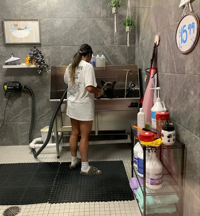 Hollywood Feed Picture 4