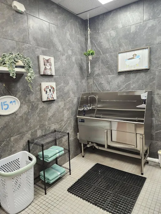 Hollywood Feed Picture 7