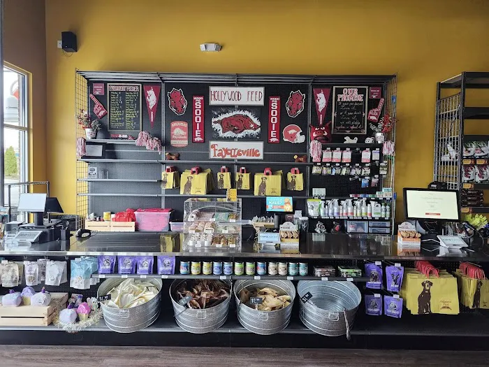 Hollywood Feed Picture 9