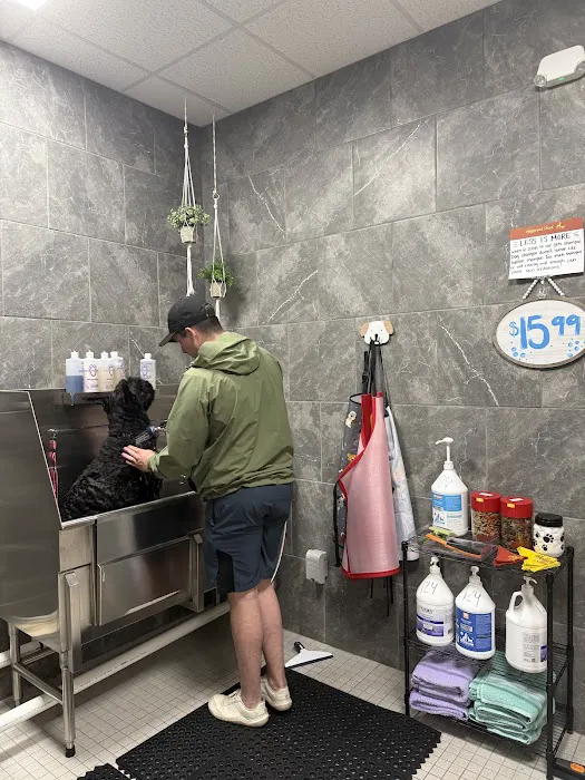 Hollywood Feed Picture 1