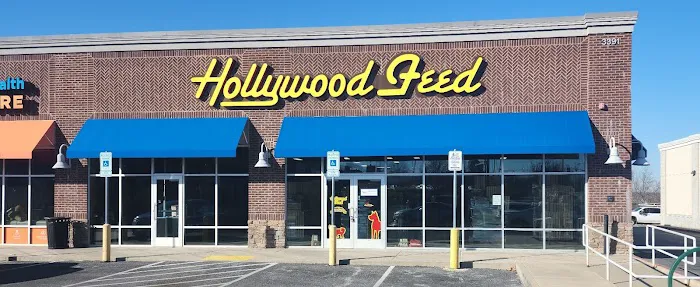 Hollywood Feed Picture 6