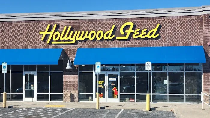 Hollywood Feed Picture 5