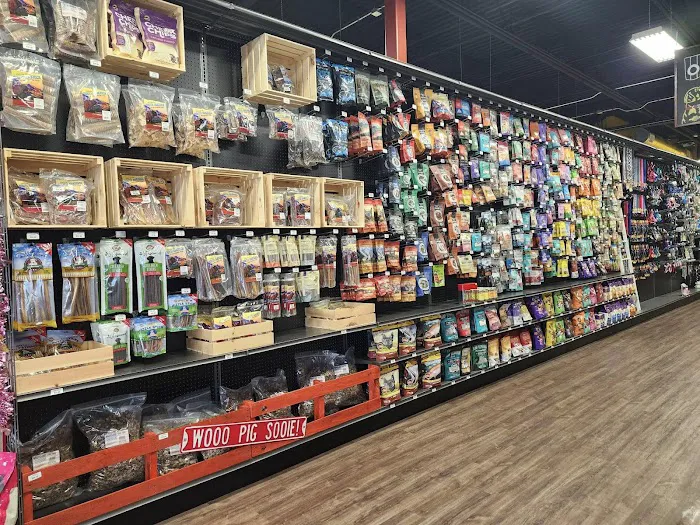 Hollywood Feed Picture 8