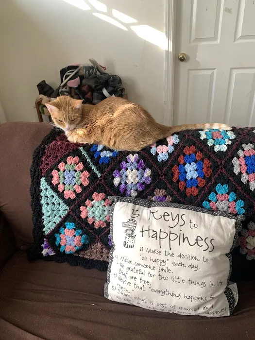 Animal Care Centers Picture 5