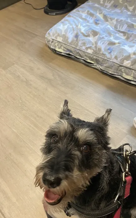 Animal Care Centers Picture 4