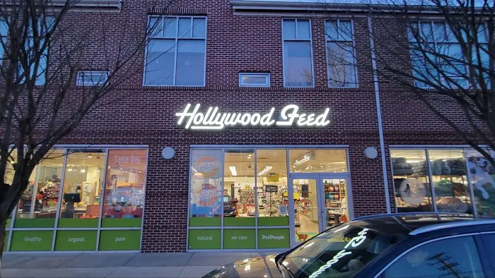 Hollywood Feed Picture 7