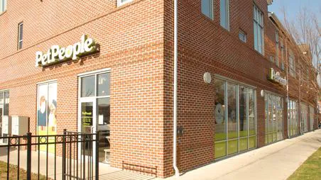 Hollywood Feed Picture 6